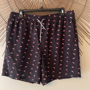 Men’s swim trunks dolphin